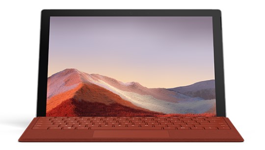 龙湾清洁和维护 Surface